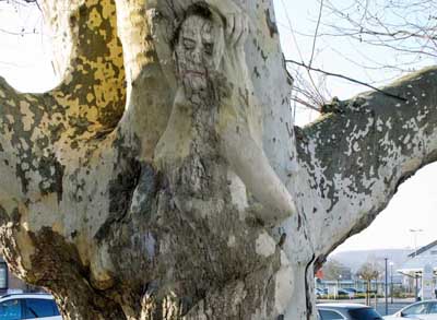Die Frau im Baume